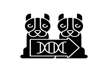 Decoding the Science behind Canine Clones