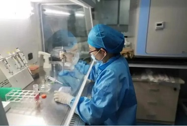 Gene Preservation | 
