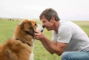 Beyond the Lab: Cloning Dogs as More Than Just a Technological Breakthrough